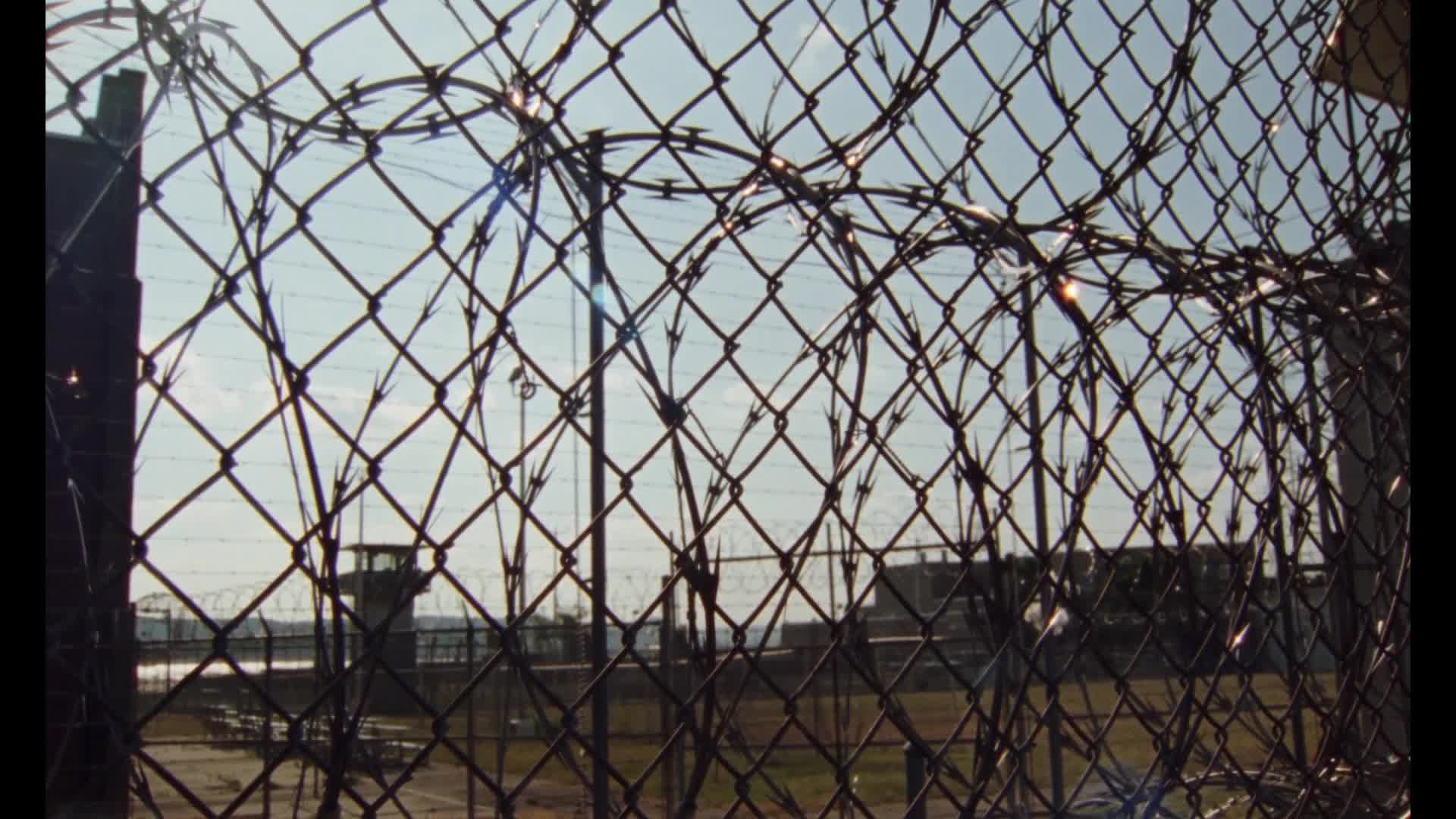 Dying is Easy, Comedy is Hard