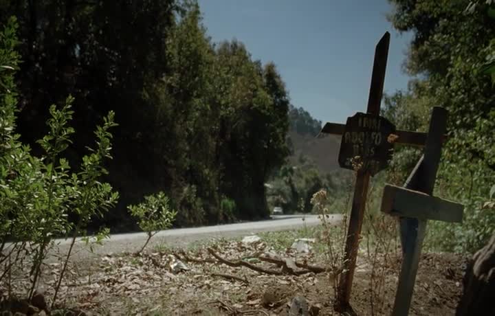 The Charolastra Manifesto