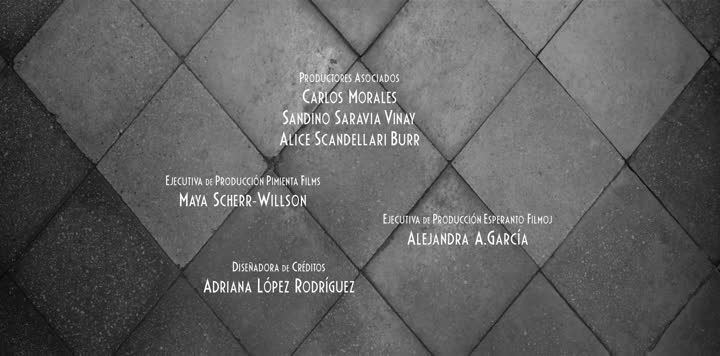 Opening Credits
