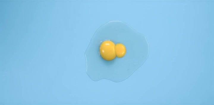 Egg Splitting (Prologue)