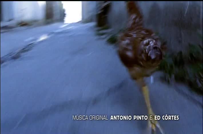 Opening Sequence