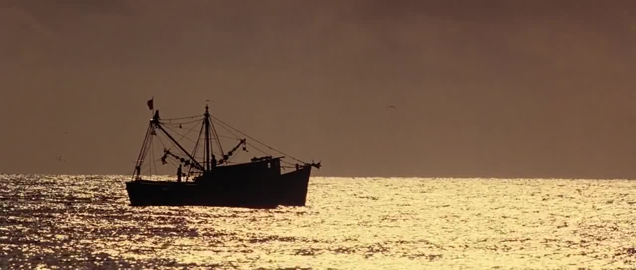 The Shrimp Boat