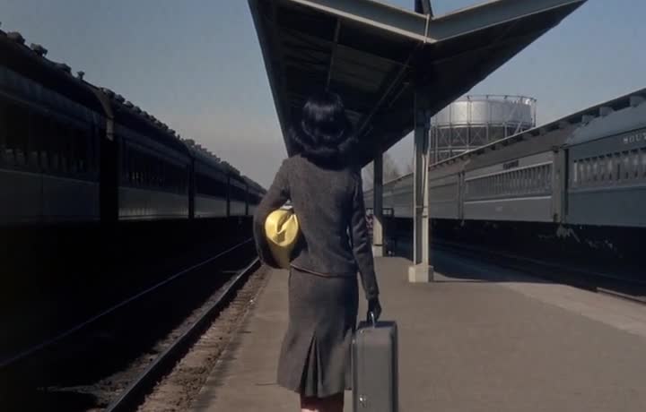 Opening Credits
