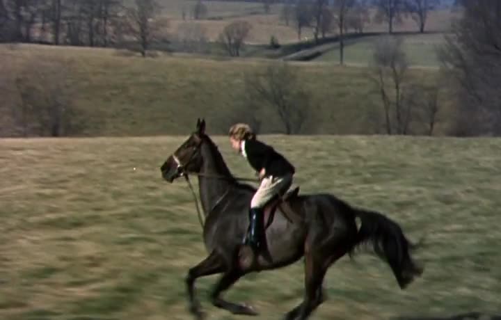 Horse Riding Goes Wrong
